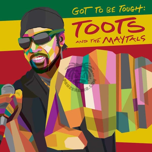 Toots And The Maytals Got To Be Tough CD