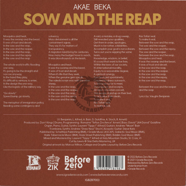 Akae Beka Sow And The Reap 7 vinyl back