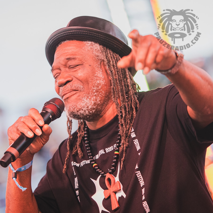 Horace Andy Biography